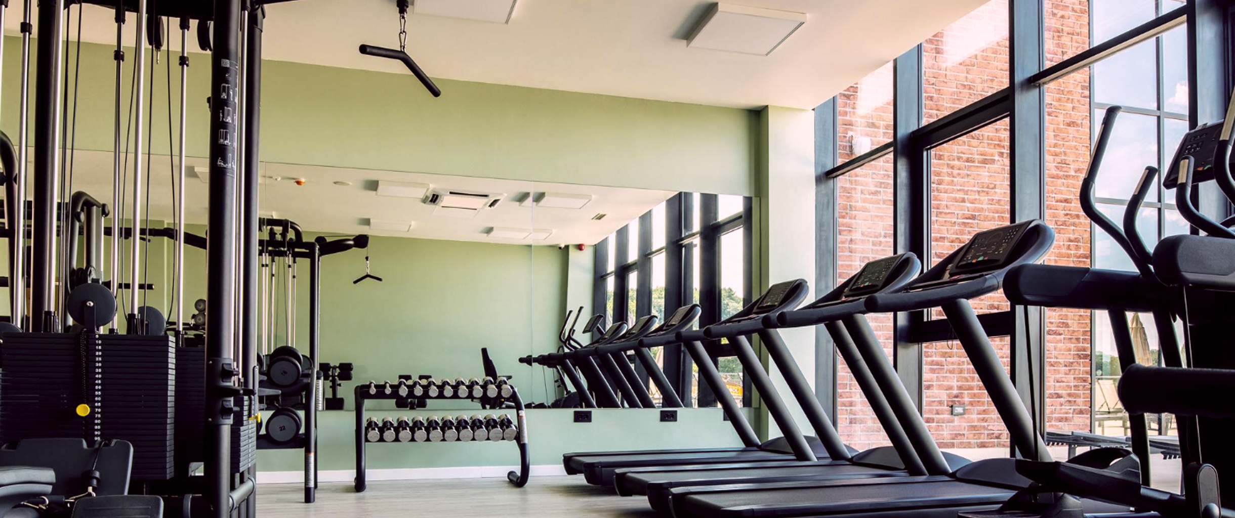 Современный тренажерный зал. Зеленые стены, большие зеркала, панорамные окна. Справа ряд беговых дорожег у окна, слева силовые тренажеры, гантели